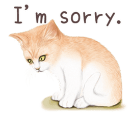 zumo cats sticker vol.1 English version sticker #5644033