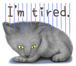 zumo cats sticker vol.1 English version sticker #5644035