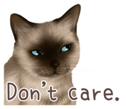 zumo cats sticker vol.1 English version sticker #5644038