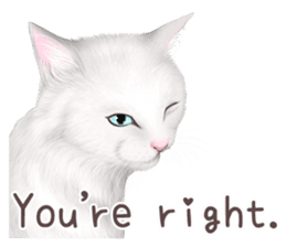 zumo cats sticker vol.1 English version sticker #5644041