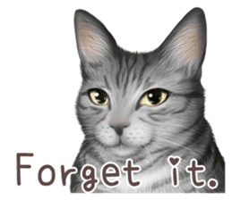 zumo cats sticker vol.1 English version sticker #5644042