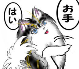 Wonderful Keeshond sticker #5649698