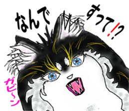 Wonderful Keeshond sticker #5649702