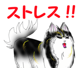 Wonderful Keeshond sticker #5649721