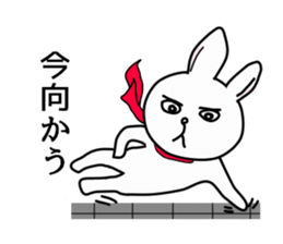 Wow cool rabbit sticker #5650023