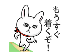 Wow cool rabbit sticker #5650024