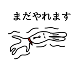 Wow cool rabbit sticker #5650038