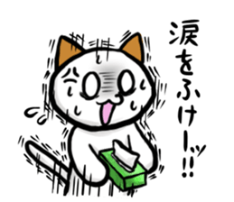 Anger of cat sticker #5650048