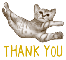 Strange pose cat sticker #5650204