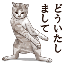 Strange pose cat sticker #5650205