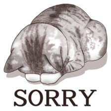 Strange pose cat sticker #5650206