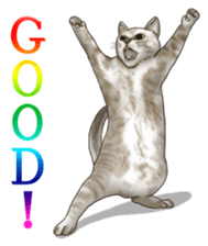 Strange pose cat sticker #5650209