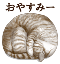 Strange pose cat sticker #5650213