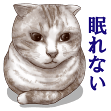 Strange pose cat sticker #5650214
