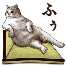 Strange pose cat sticker #5650215