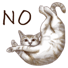 Strange pose cat sticker #5650217