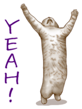 Strange pose cat sticker #5650218