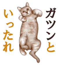 Strange pose cat sticker #5650223