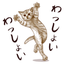 Strange pose cat sticker #5650224