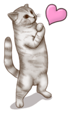 Strange pose cat sticker #5650225