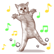 Strange pose cat sticker #5650227