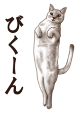 Strange pose cat sticker #5650228