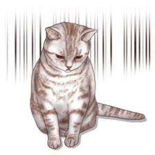 Strange pose cat sticker #5650229