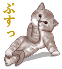 Strange pose cat sticker #5650230