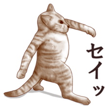 Strange pose cat sticker #5650231