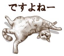 Strange pose cat sticker #5650234