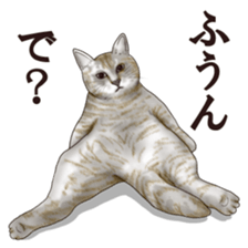 Strange pose cat sticker #5650235