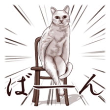 Strange pose cat sticker #5650239
