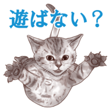 Strange pose cat sticker #5650240