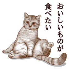 Strange pose cat sticker #5650241