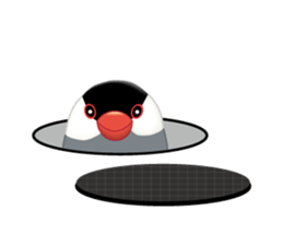 Debuncho sticker #5652458