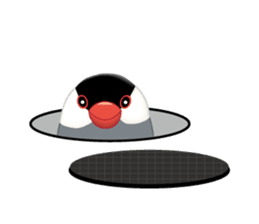 Debuncho sticker #5652458