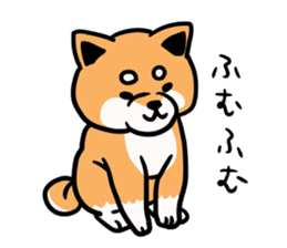 Japanese midget Shiba. sticker #5653234