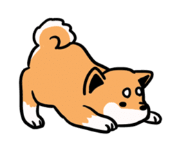 Japanese midget Shiba. sticker #5653235