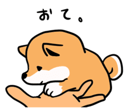Japanese midget Shiba. sticker #5653244