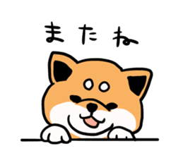 Japanese midget Shiba. sticker #5653245