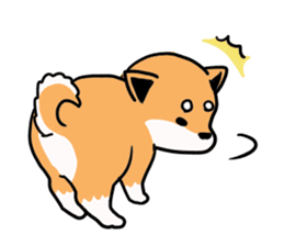 Japanese midget Shiba. sticker #5653248