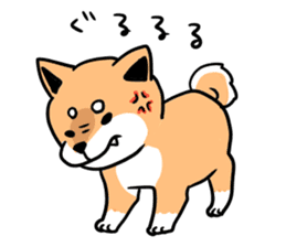 Japanese midget Shiba. sticker #5653251