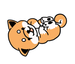 Japanese midget Shiba. sticker #5653252