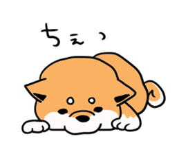 Japanese midget Shiba. sticker #5653255