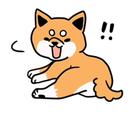 Japanese midget Shiba. sticker #5653256