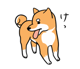 Japanese midget Shiba. sticker #5653262