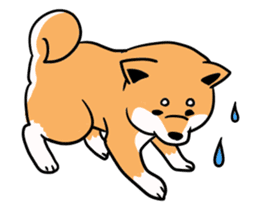Japanese midget Shiba. sticker #5653263