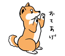 Japanese midget Shiba. sticker #5653264