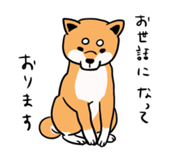 Japanese midget Shiba. sticker #5653265