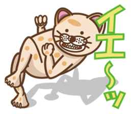 dopey "lion cat"2 sticker #5653274